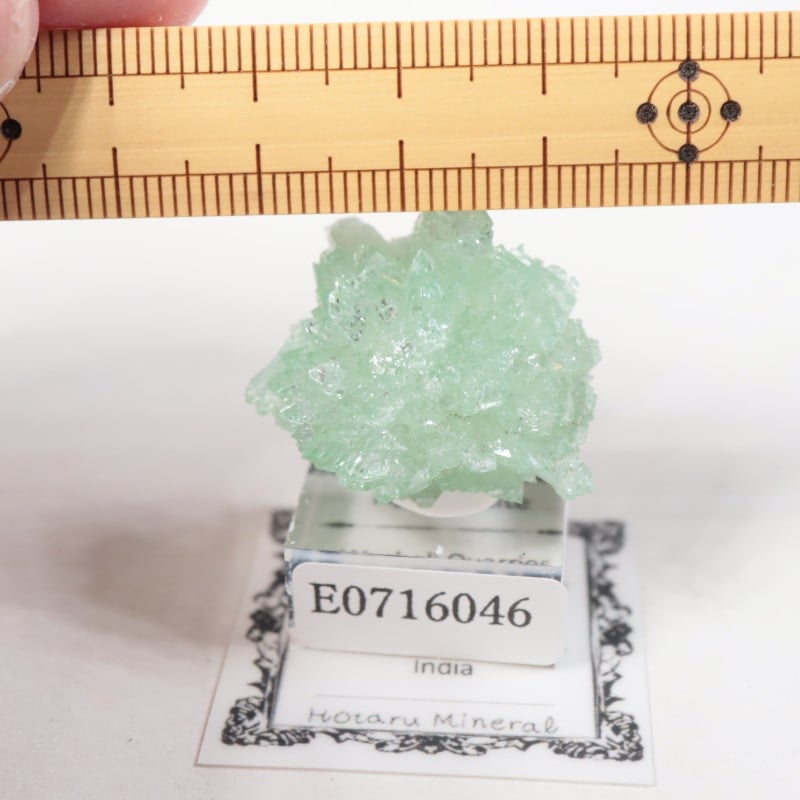 ����ɻ� ���ݥե��饤��