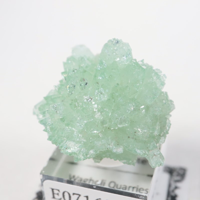 ����ɻ� ���ݥե��饤��