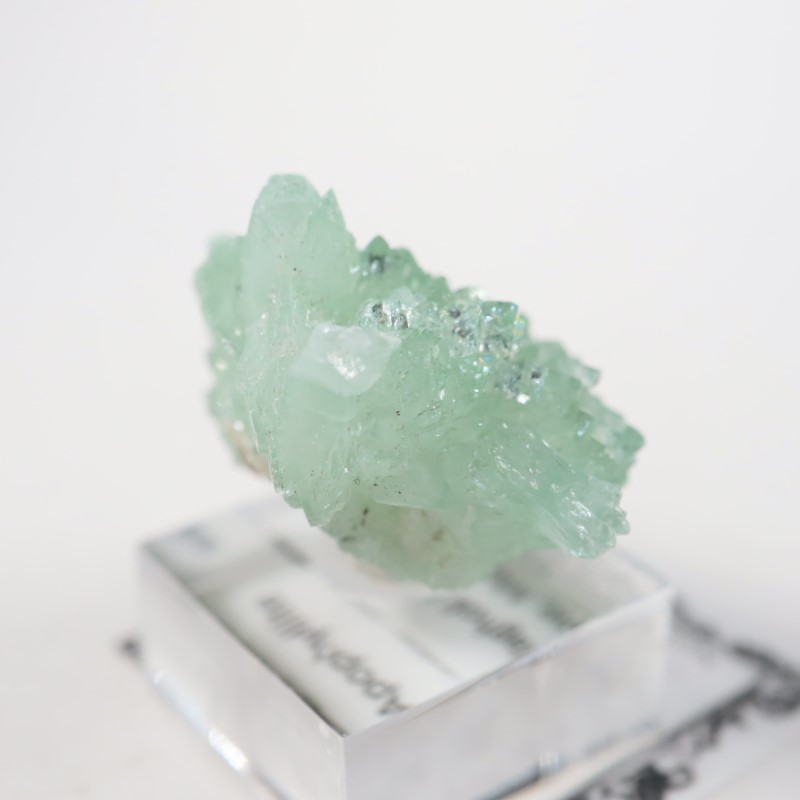 ����ɻ� ���ݥե��饤��