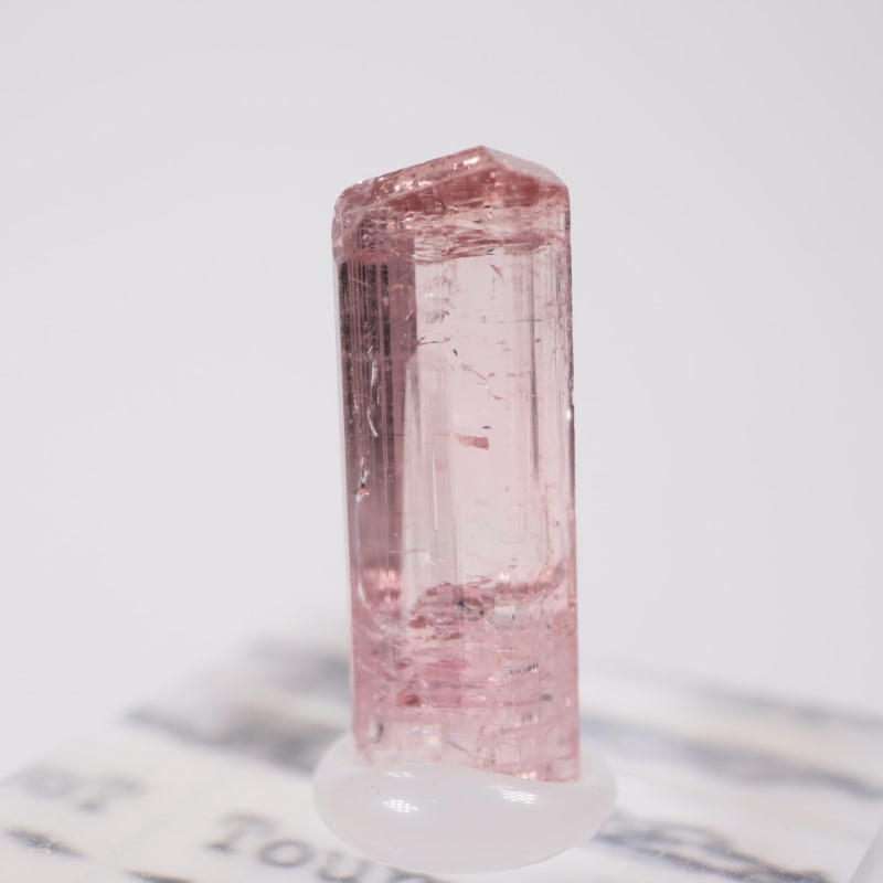 ���ե��˥����� �ȥ�ޥ��