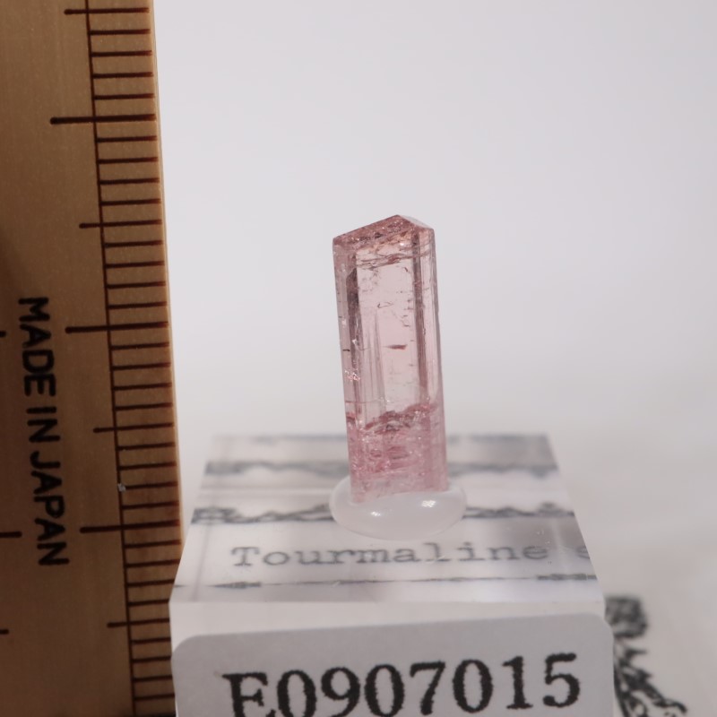 ���ե��˥����� �ȥ�ޥ��