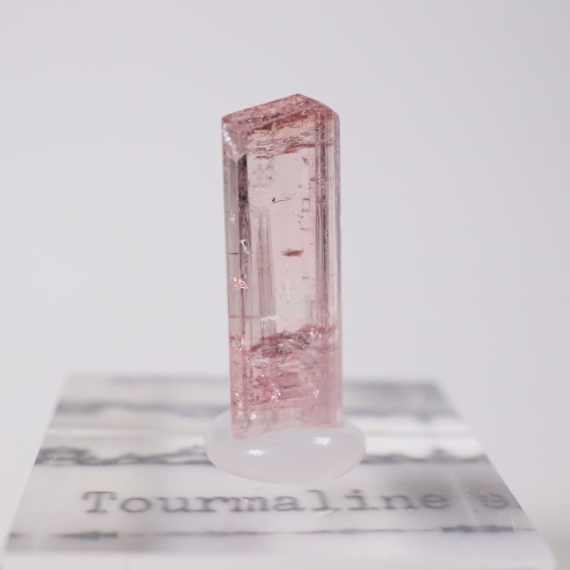 ���ե��˥����� �ȥ�ޥ��