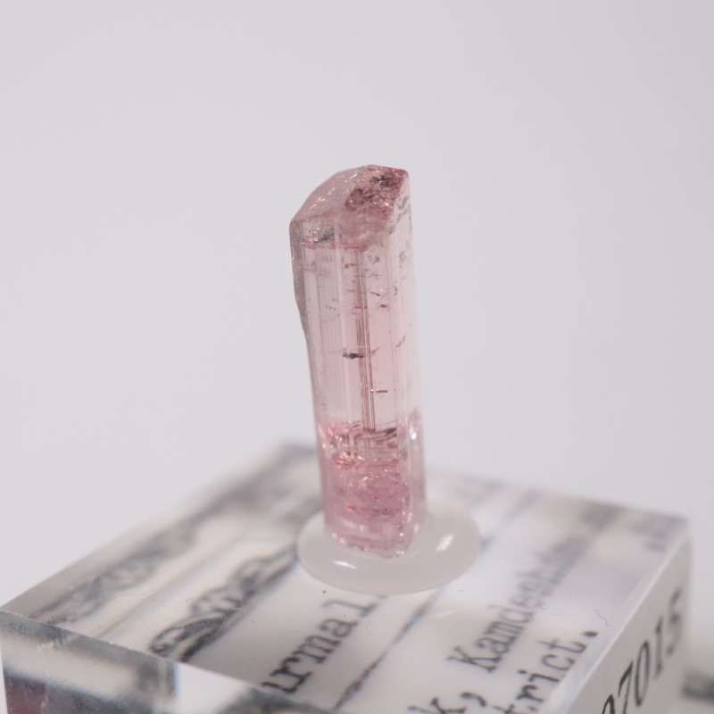 ���ե��˥����� �ȥ�ޥ��