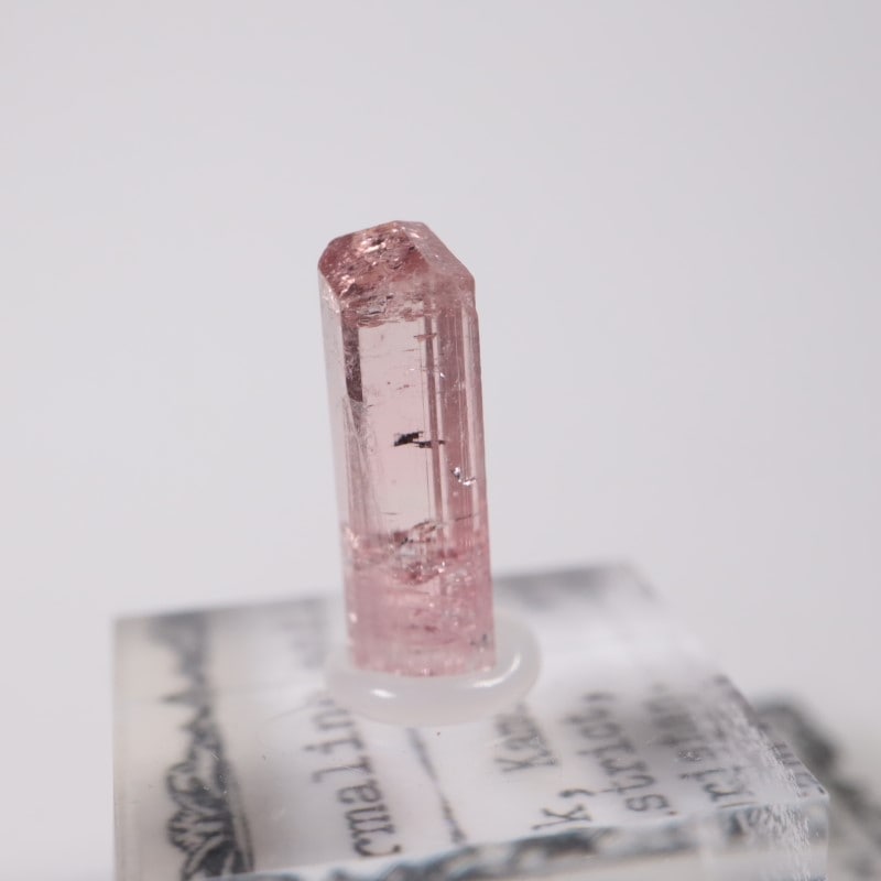 ���ե��˥����� �ȥ�ޥ��