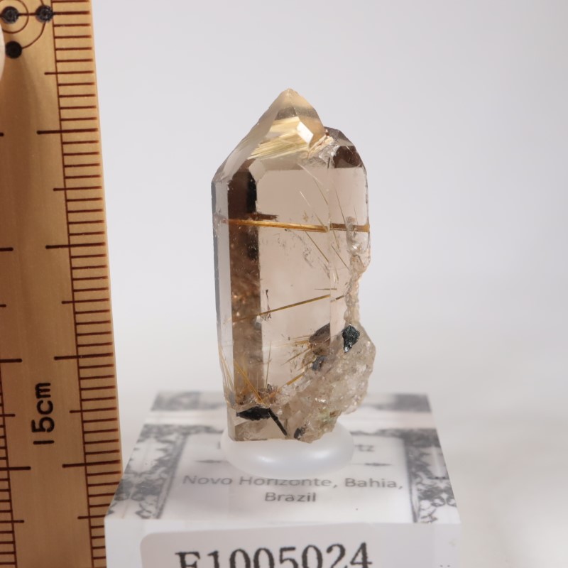 ブラジル産 ルチル入り水晶 | 鉱物標本,カ行,クォーツ/水晶 | ほたるみ