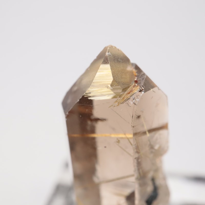 ブラジル産 ルチル入り水晶 | 鉱物標本,カ行,クォーツ/水晶 | ほたるみ