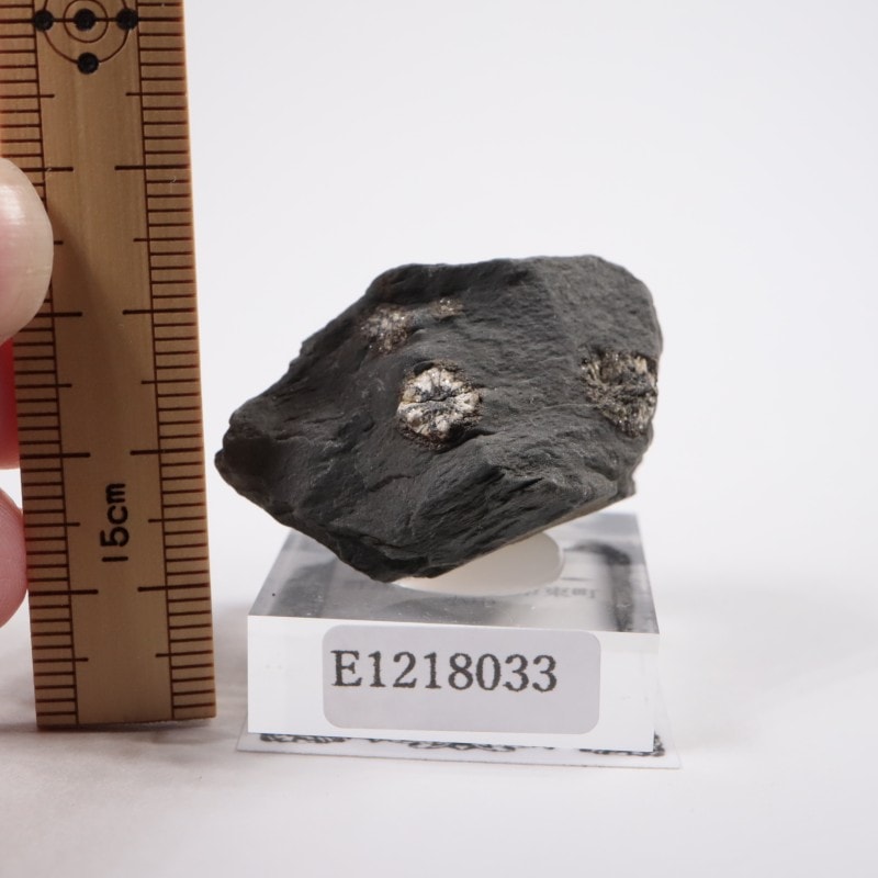 群馬県産 桜石 | 鉱物標本,その他の鉱物 | ほたるみねらる