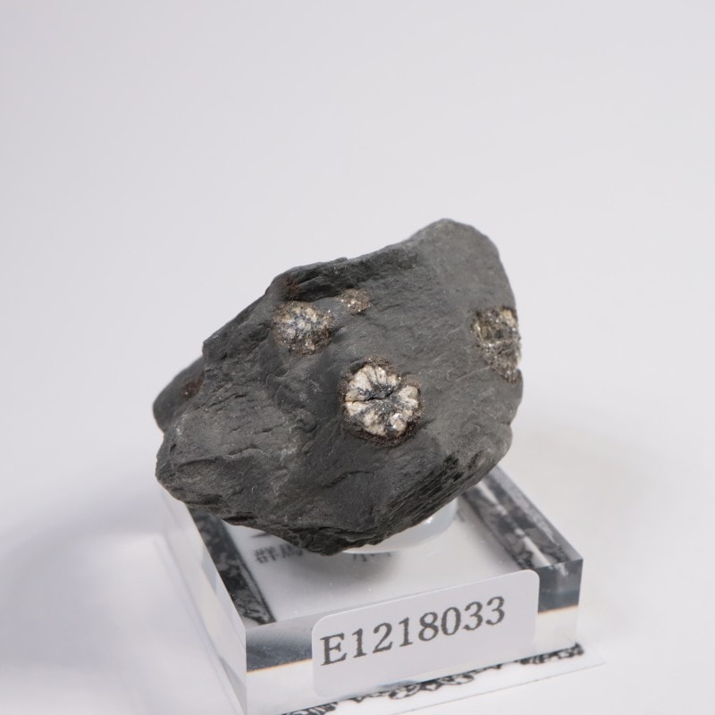 群馬県産 桜石 | 鉱物標本,その他の鉱物 | ほたるみねらるオンライン