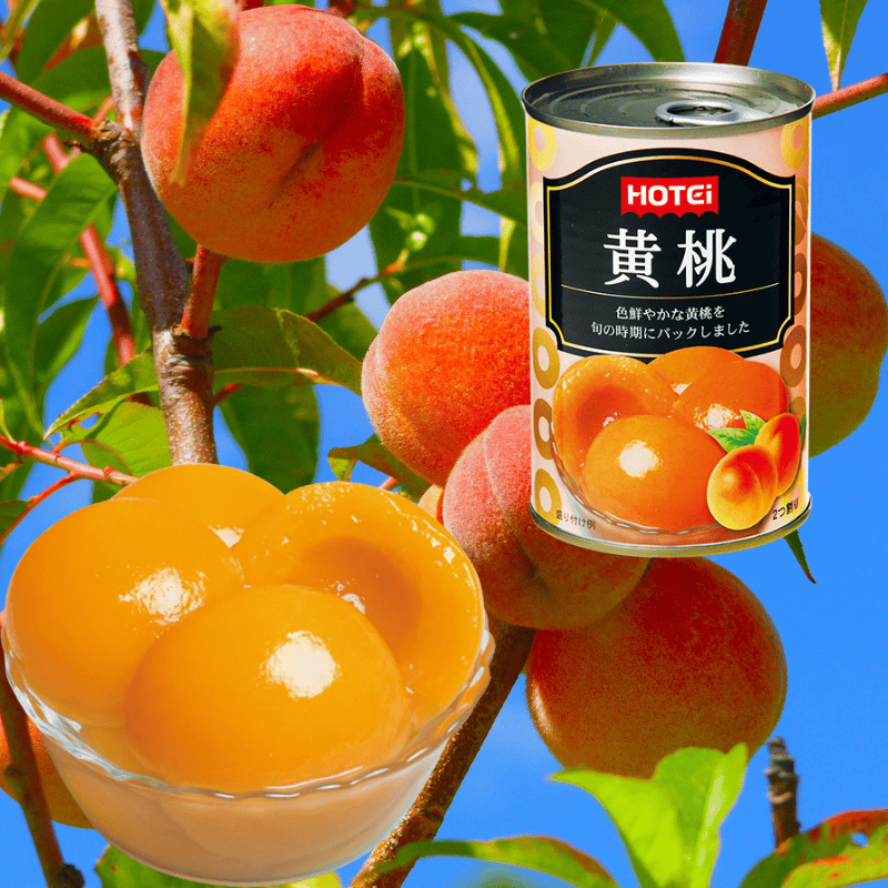 黄桃輸入品4号缶 24缶入（ポイント20％）