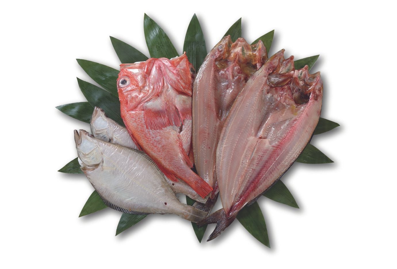 一夜干し詰合せ　KSG-8 　＊送料込