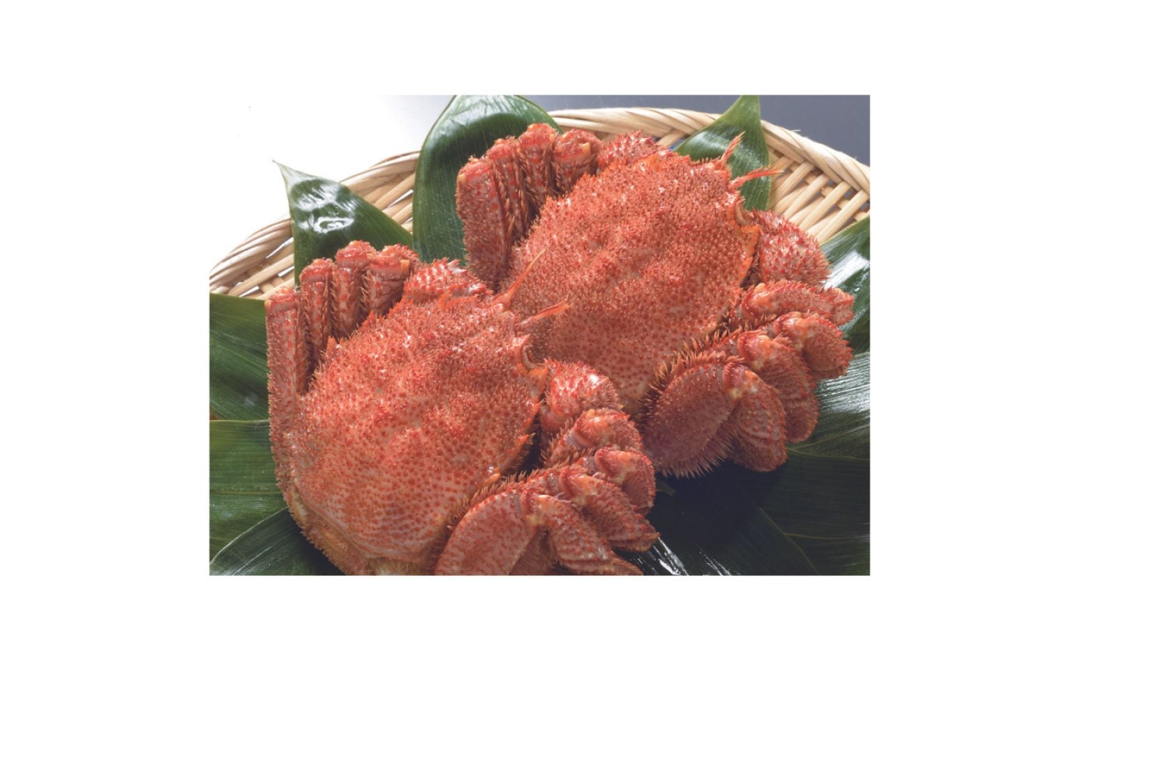 北海道産ボイル毛がに3尾 1.0㎏　KSG-11　＊送料込