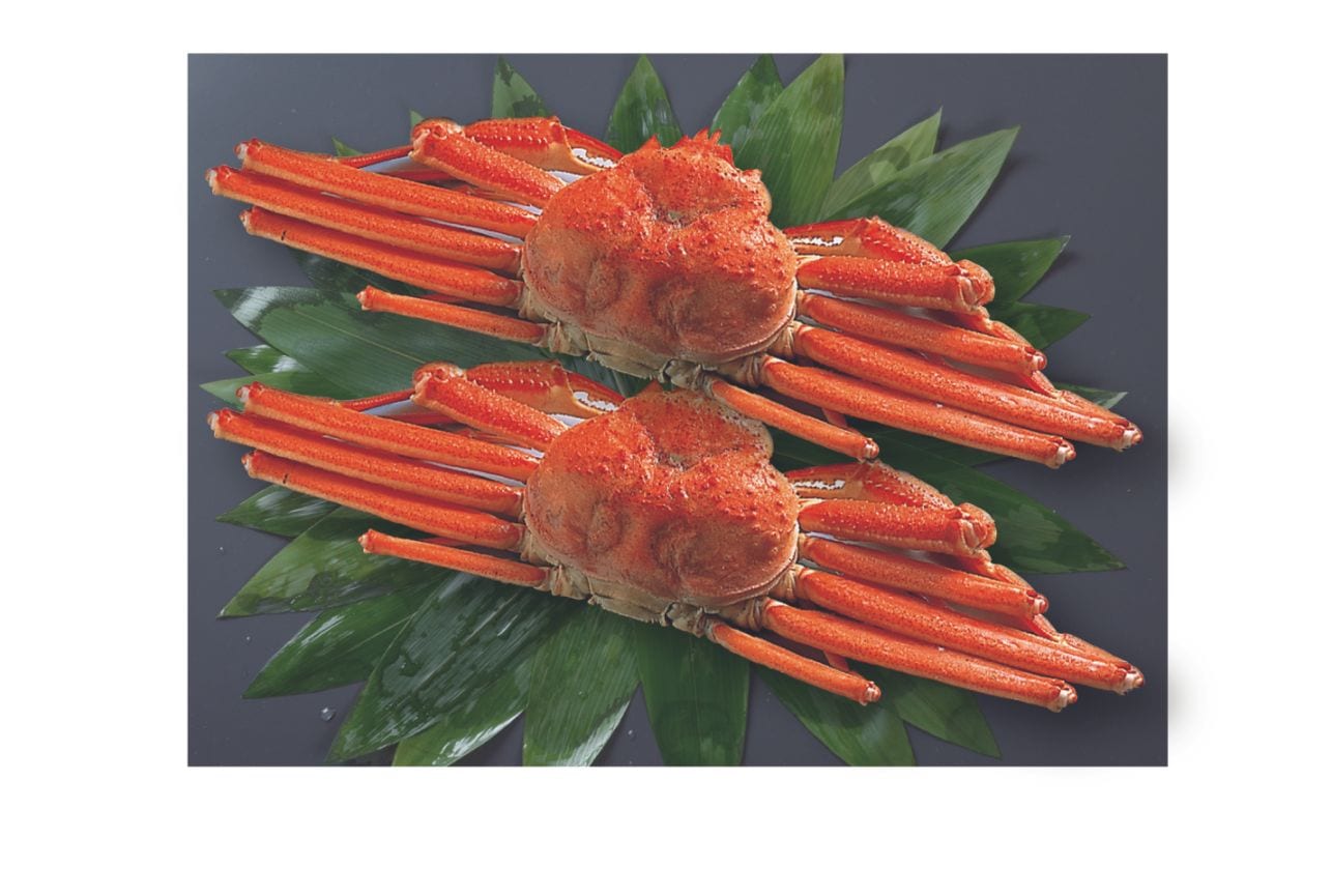 ボイルずわいがに２尾 1.0㎏　KSG-13　＊送料込