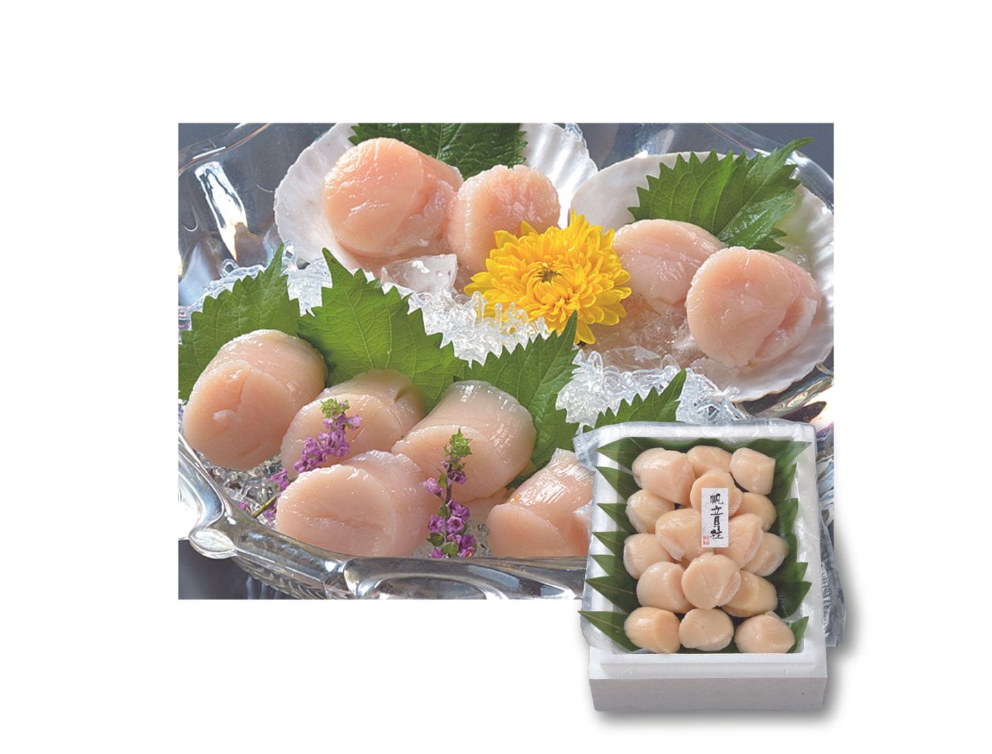 北海道産帆立貝柱　KSG-16　＊送料込