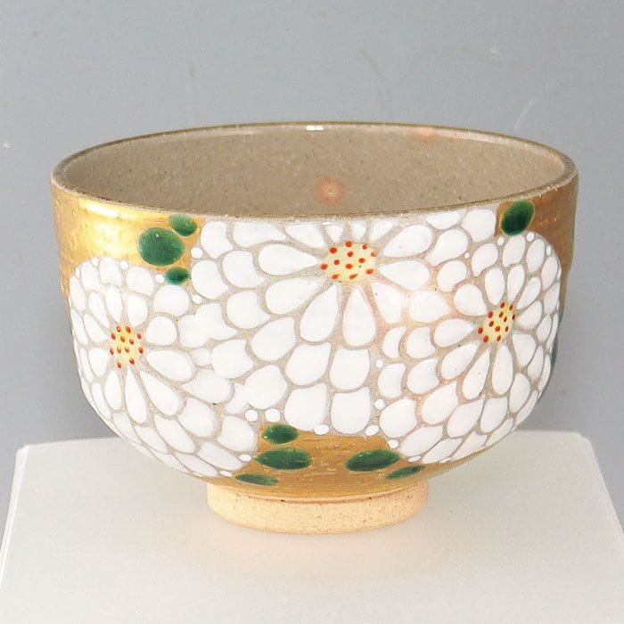 ����ƻ������� ��ť ���־� ����׿� �� ��Ȣ����