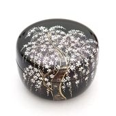 ʿܧ �޿������ ���������� �� ��Ȣ����