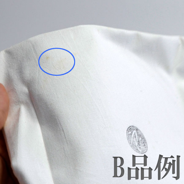 ����ƻ�� ����Ф�ʪ�ۿ�� �����ȳ� ��¼����� H-244