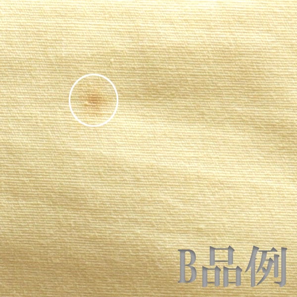 ����ƻ�� ����Ф�ʪ �Ͳ������ޤ������� ��׼��� �崬Ʃ ��� ��̯�ع��� H-249