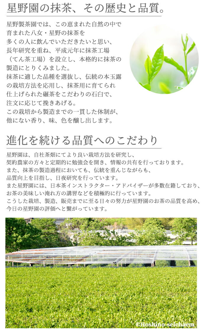 �ڶ�Ϫ�Τդ뤵��ʡ��Ȭ������¼�Τ�����������/���������� ����������� �������� 20g��