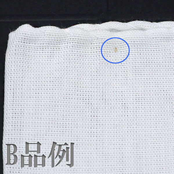 �� B�� ����Ф�ʪ�� B����� 1������ 