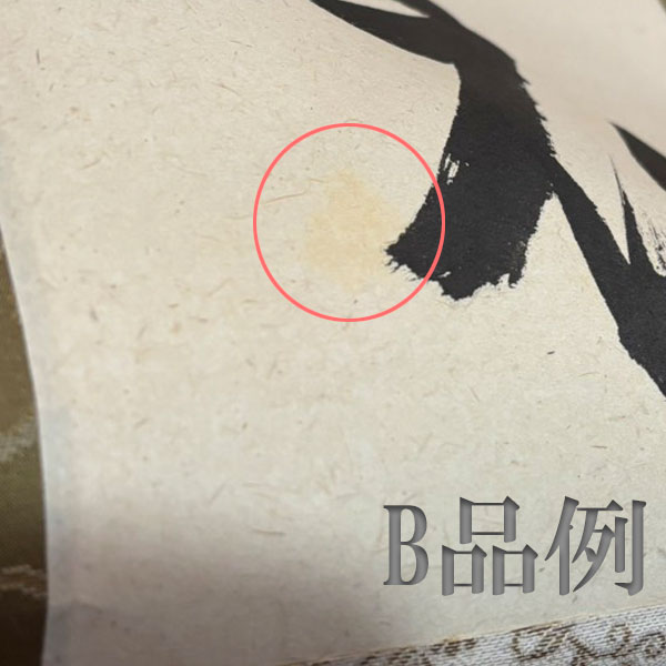 ����ƻ�� ����Ф�ʪ B�ʡ۳ݼ� Ϯ�ֹ����� H-285