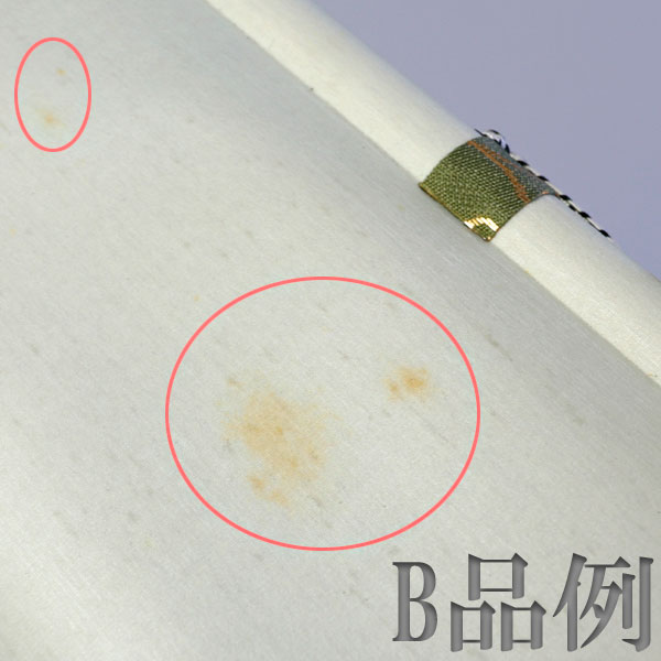 ����ƻ�� ����Ф�ʪ B�ʡ۳ݼ� �ߤο� H-289