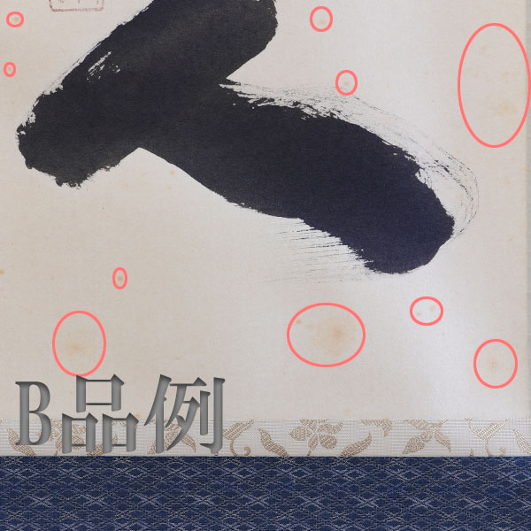 ����ƻ�� ����Ф�ʪ B�ʡ۳ݼ� �з����Կ� H-293