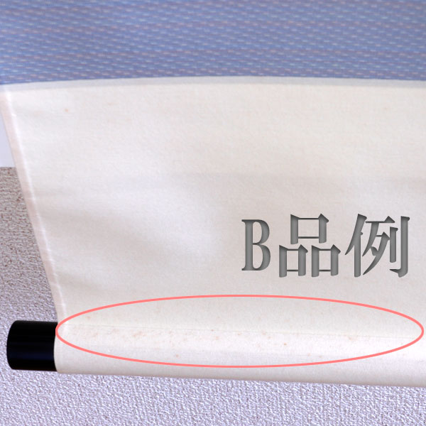 ����ƻ�� ����Ф�ʪ B�ʡ۳ݼ� ��ή̵���� H-294