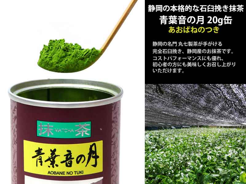 ˧��� ����6�����å� ������ ��������