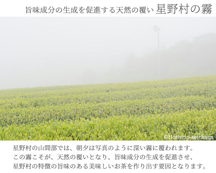 ʲùȬ ⤯   ̳ 100g