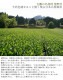 �ڶ�Ϫ�Τդ뤵��ʡ��Ȭ������¼�Τ�����������/���������� ����������� ��Ȭ����Ϫ�� 40g��