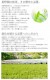 �ڶ�Ϫ�Τդ뤵��ʡ��Ȭ������¼�Τ�����������/���������� ����������� ��Ȭ����Ϫ�� 40g��