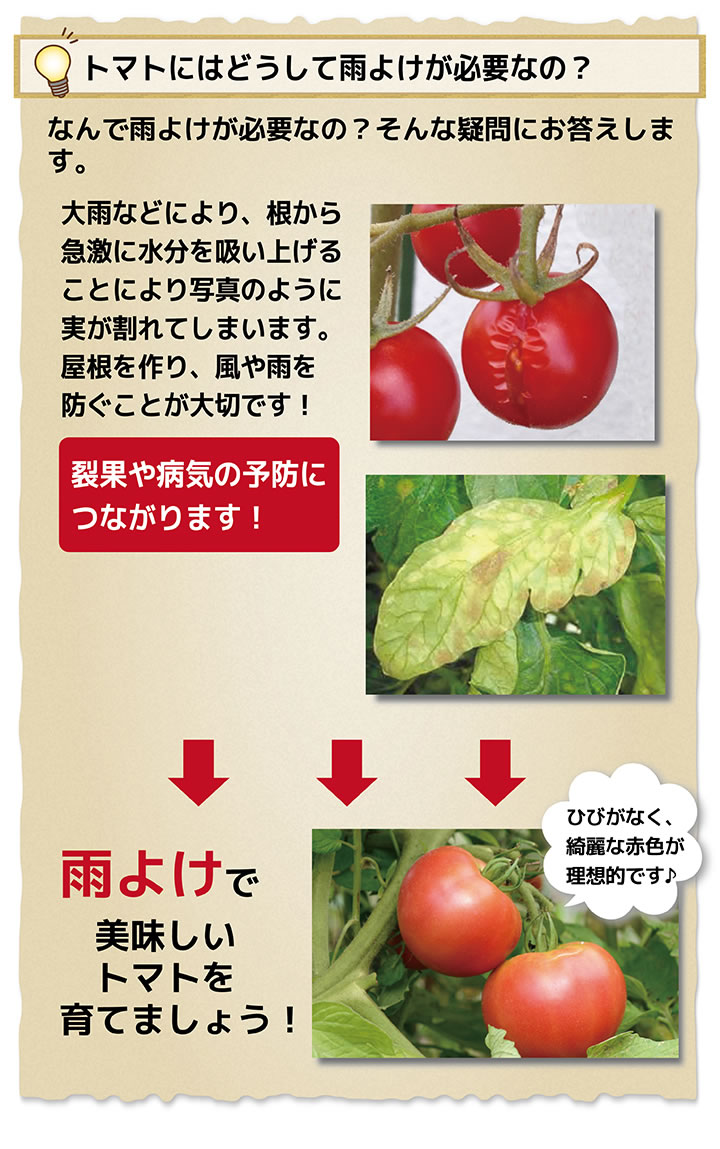 <list[i].description>