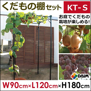 【送料無料】 DAIM くだもの棚セット KT-S（設置サイズ 幅90cm×奥行120cm×設置高さ180cm） ブドウ棚 キュウイ棚 ふじ棚 園芸棚