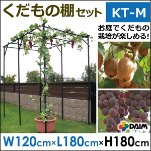 送料無料】 DAIM くだもの棚セット KT-S（設置サイズ 幅120cm×奥行