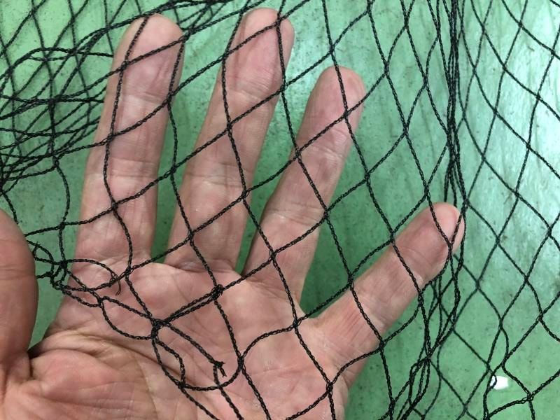 のり網 防獣ネット 2月中旬迄 鹿除け 防鳥ネット 約1.6m×18m 20枚
