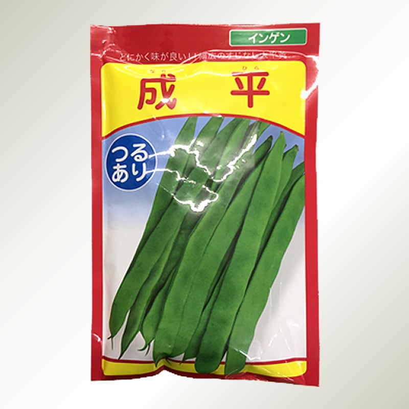 【おいしい】【地植え】【鉢植え】 武蔵野種苗園 成平いんげん（つるあり・インゲンマメ）