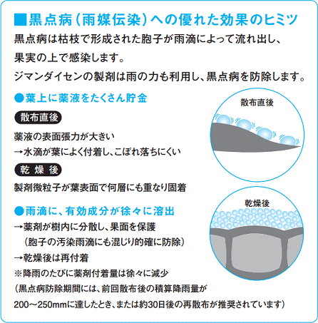 <list[i].description>