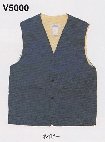 V5000���٥���