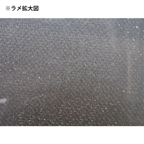 8180M�����������������٥��ȡ�10��ʾ��