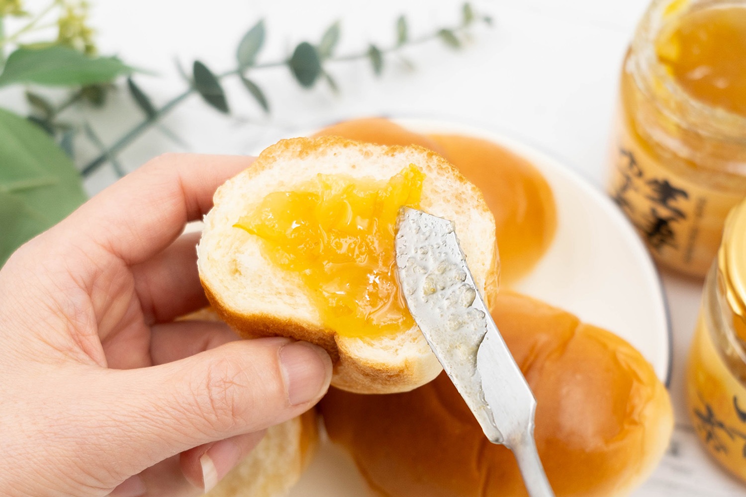 ������������񻺤椺��������(��ʬ���⻺ͮ��) ������6�ĥ��å�10��OFF