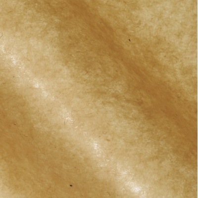 業務用ＷＡＸシート　未晒クラフト　＃２１００５０３