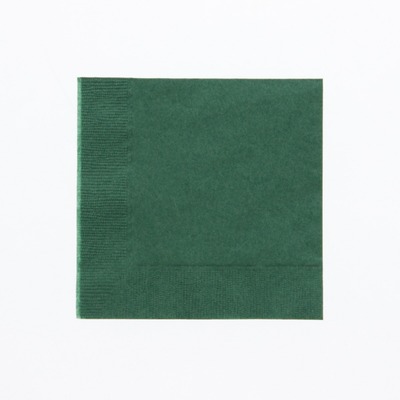 カラー２ｐｌｙナフキン　２５ｃｍ　イタリアングリーン　＃４７１０２４６