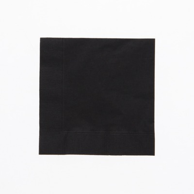 カラー２ｐｌｙナフキン　２５ｃｍ　ブラック　＃４７１０２４９