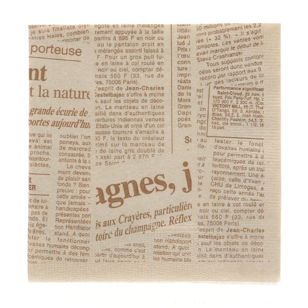 紙ナプキン　２プライ　４折　ニュースレター未晒　＃４５２８００１