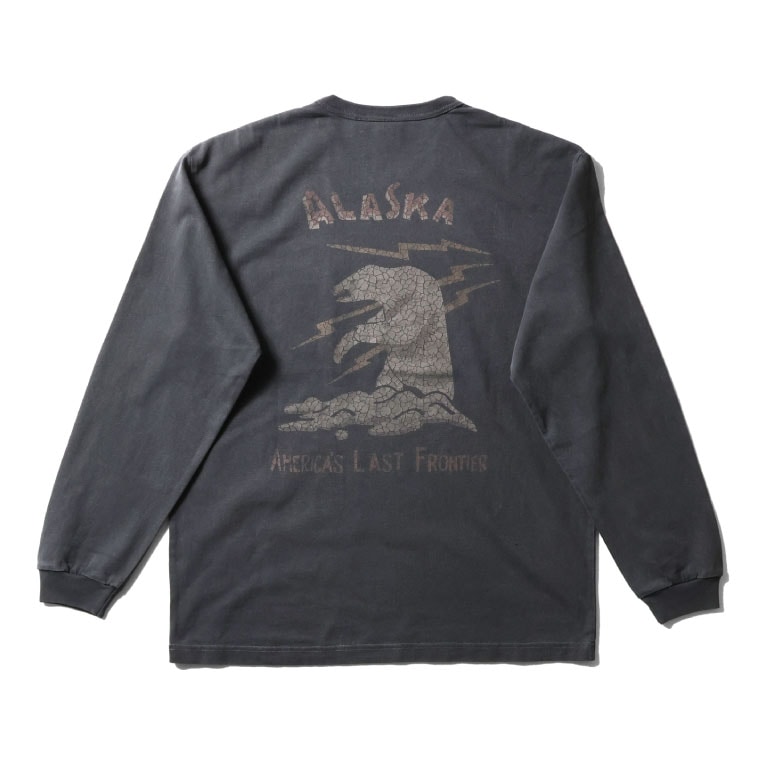 HOUSTON  / ヒューストン 22385 PIGMENT U.S. COTTON PRINT TEE(ALASKA) / ピグメントプリント半袖Tシャツ -全4色- 