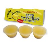 とろけるニューサマーオレンジ