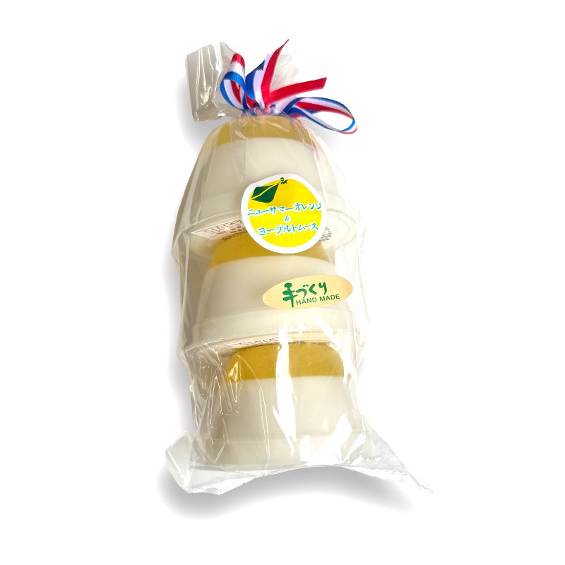 ニューサマーオレンジ＆ヨーグルトムース