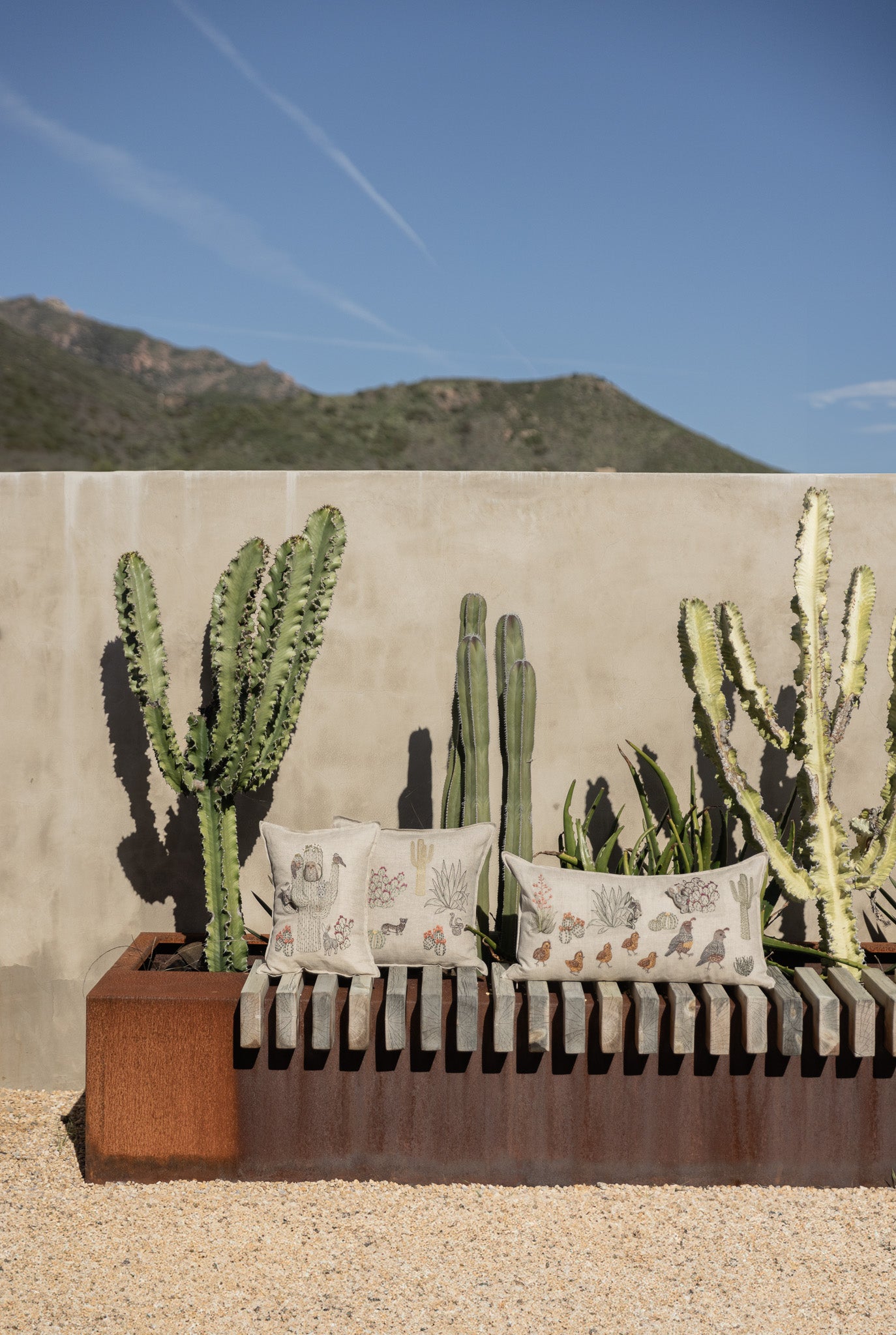 Desert｜クッションカバー 40x40 Saguaro Desert Field（クッション