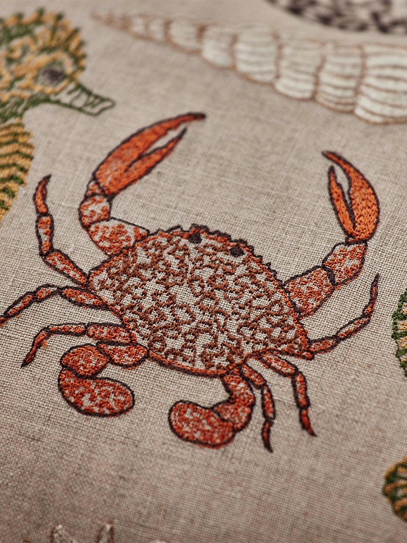 Coastal｜クッションカバー 30x40 Beach Walk（クッション）｜H.P.