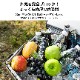 KZM ǥեȥ顼 45L(kzm-k20t3k008)